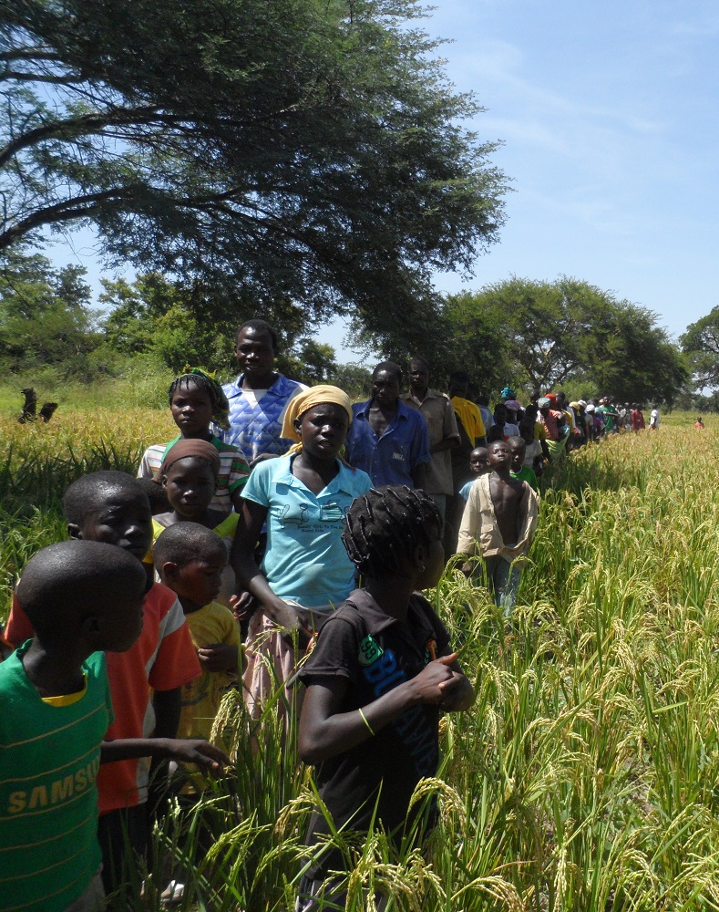 Bénéficiaires de l'ODE
