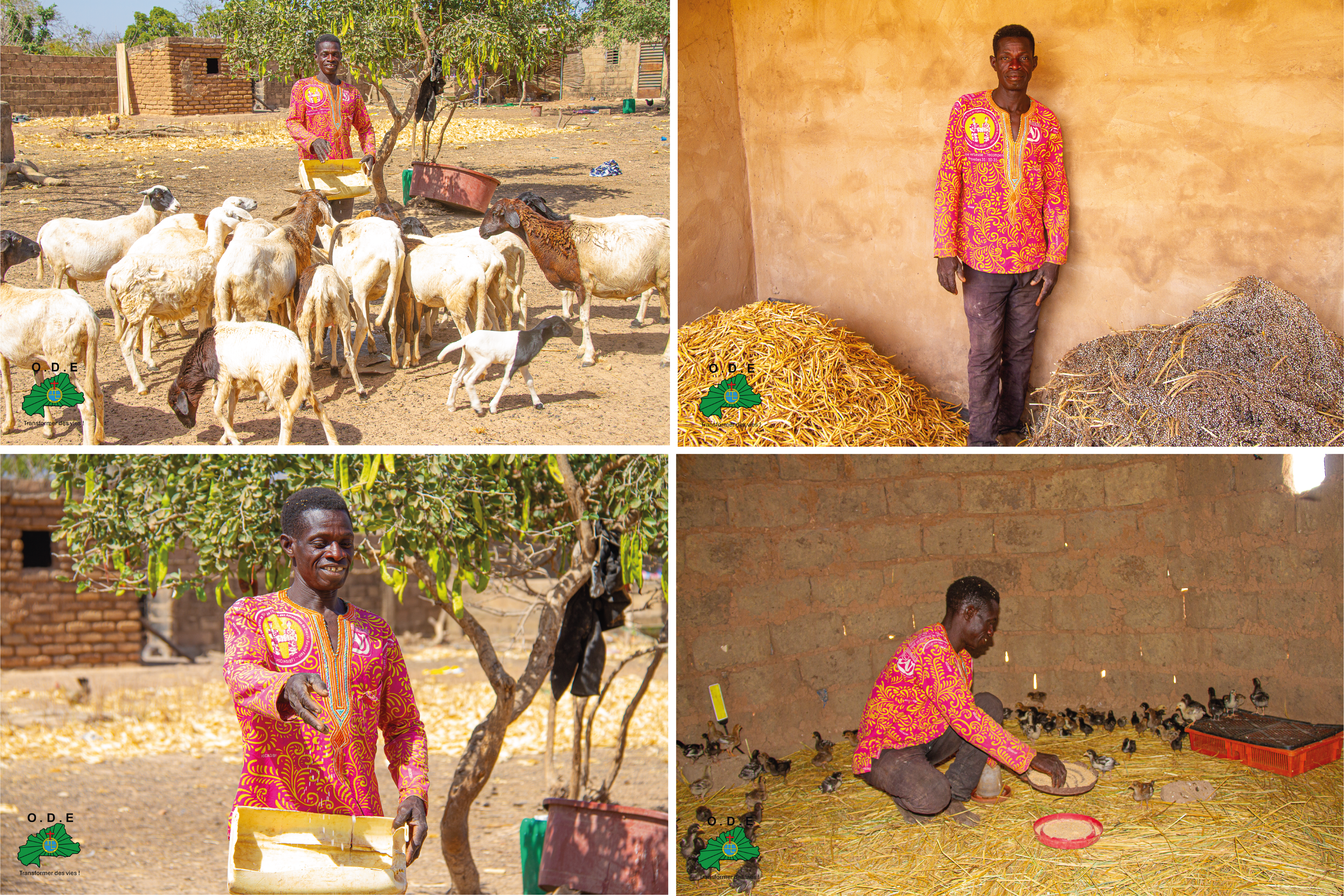 De la formation à la prospérité : le témoignage inspirant de Kiendrebeogo Romain